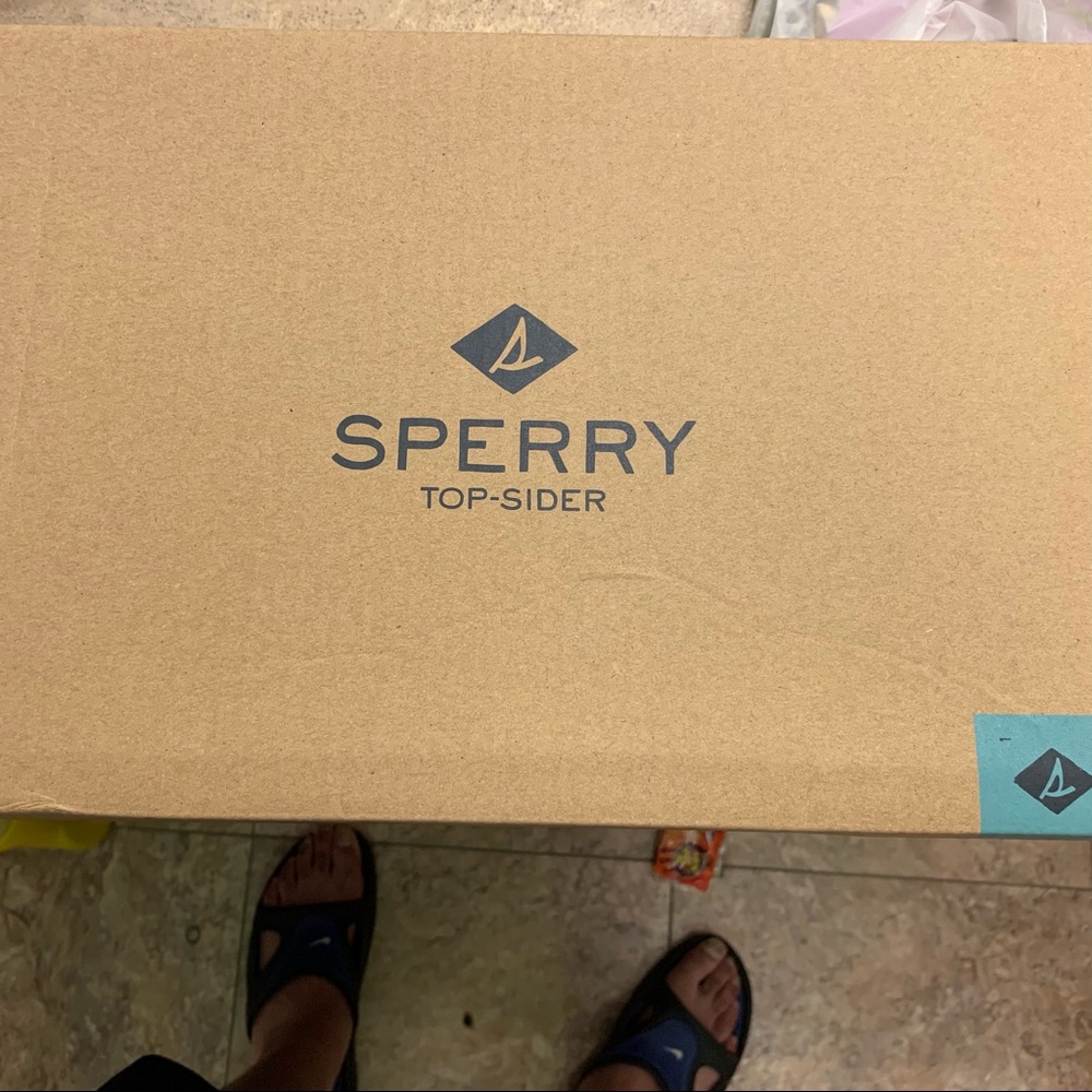 Sperry Canvas - image 2